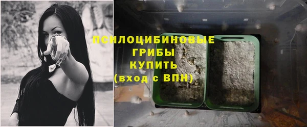 спайс Баксан