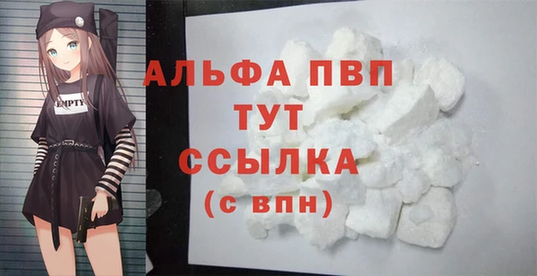 прущие грибы Снежногорск