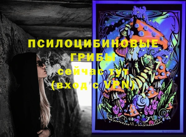 спайс Баксан