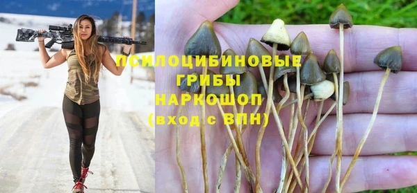 спайс Баксан