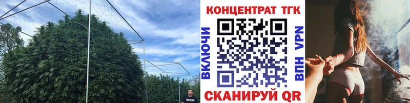 ТГК Wax  Ладушкин 