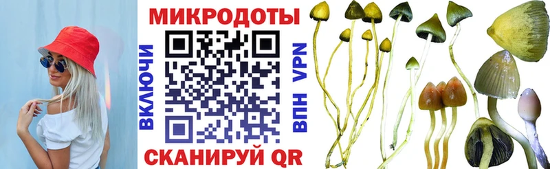 сколько стоит  KRAKEN ТОР  Псилоцибиновые грибы мухоморы  Ладушкин 